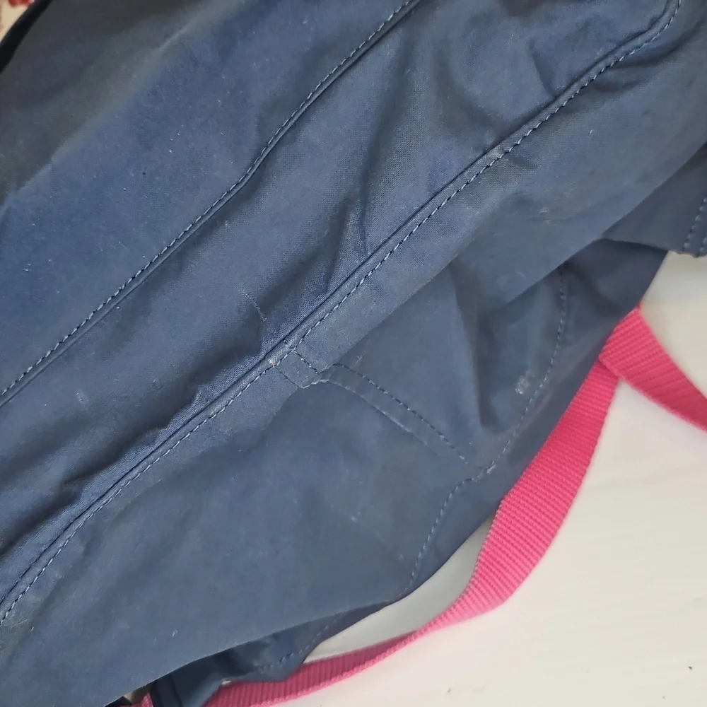 Fjallraven Kanken Everyday Backpack Blue & Pink